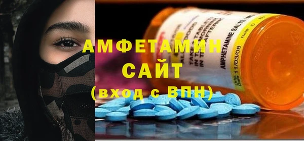 прущие грибы Горно-Алтайск