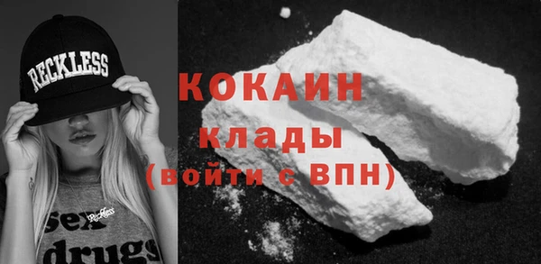 прущие грибы Горно-Алтайск