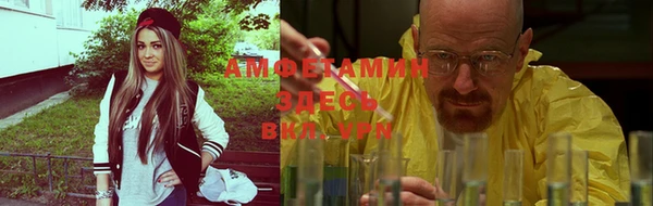 прущие грибы Горно-Алтайск