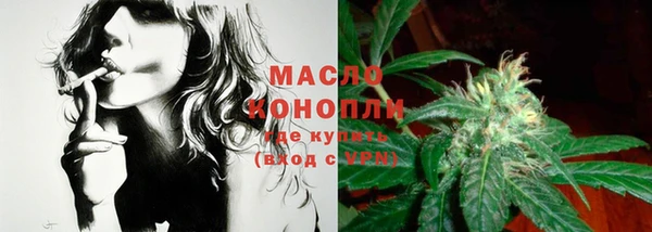 прущие грибы Горно-Алтайск