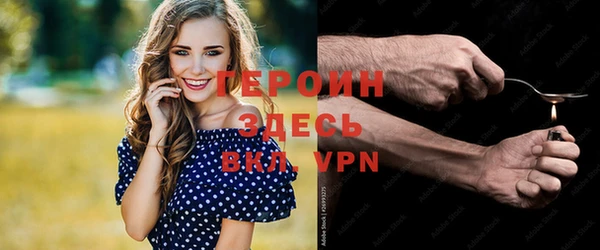 прущие грибы Горно-Алтайск