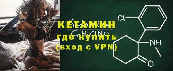 прущие грибы Горно-Алтайск