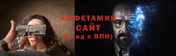 прущие грибы Горно-Алтайск