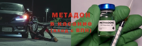 прущие грибы Горно-Алтайск