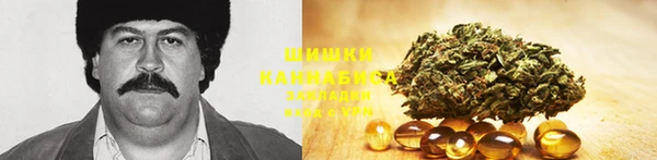 прущие грибы Горно-Алтайск