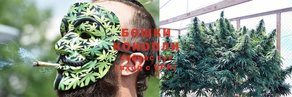 mdpv Гусь-Хрустальный