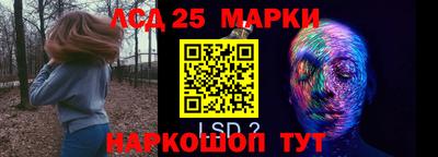 apvp Бийск