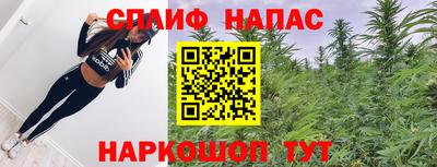 apvp Бийск
