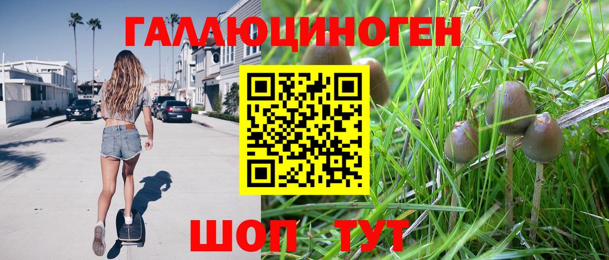 наркошоп  Галлюциногенные грибы Cubensis  Вход с VPN  Воткинск 