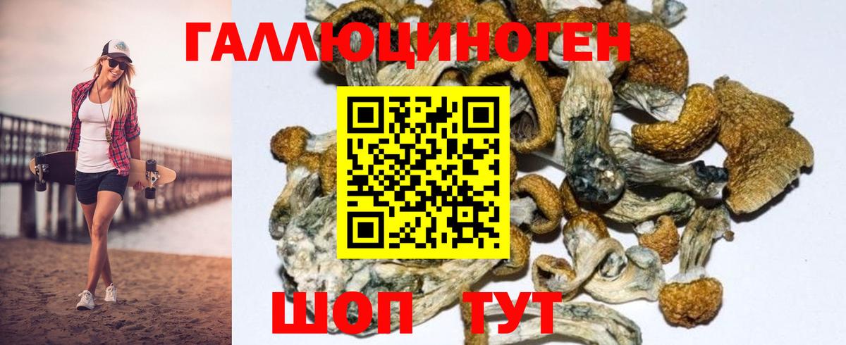 Галлюциногенные грибы MAGIC MUSHROOMS  хочу наркоту  Галлюциногенные грибы GOLDEN TEACHER  Воткинск 